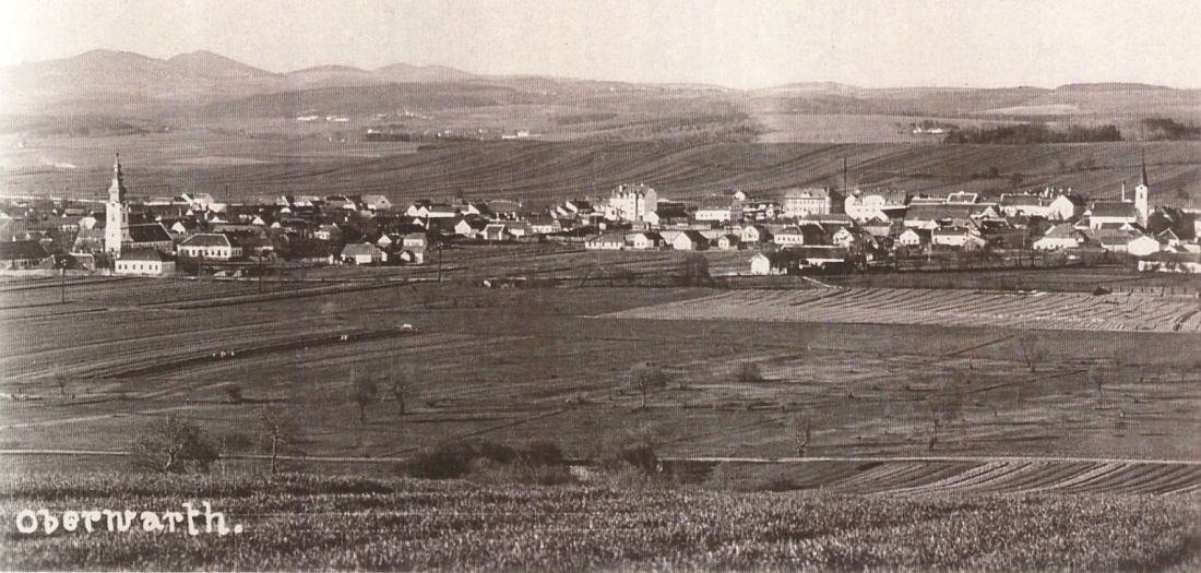 Blick vom Vörösdomb gegen Norden auf das Stadtgebiet zwischen reformierter und evangelischer Kirche