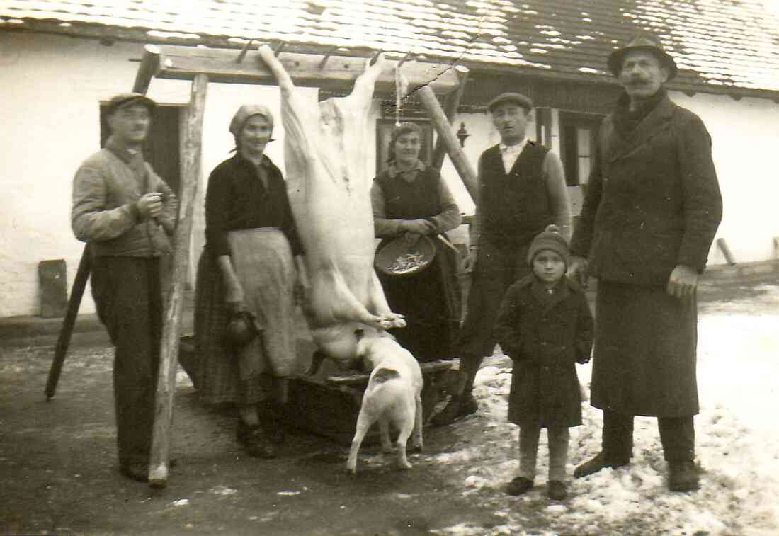 Sauabstechen bei Familie Kiss (Lindengasse 5)