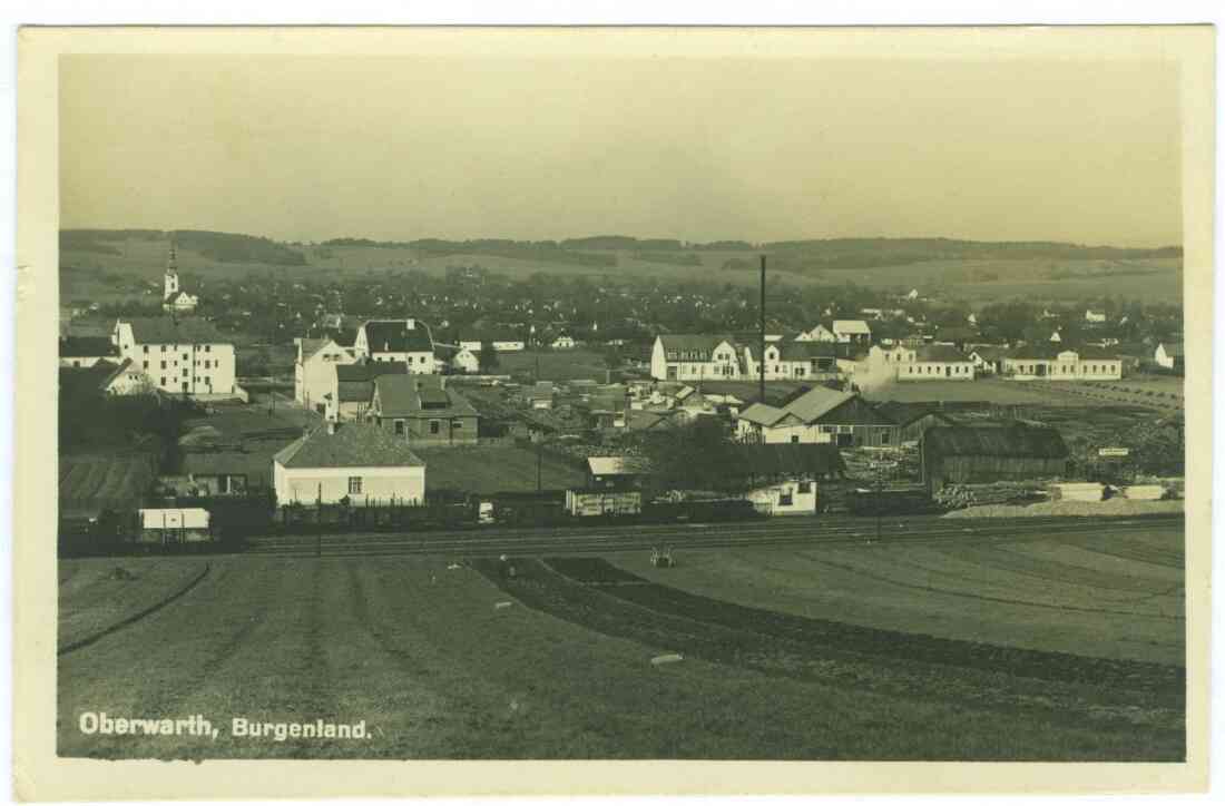 Blick über das Dampfsägewerk Schlenger auf das Obertrum