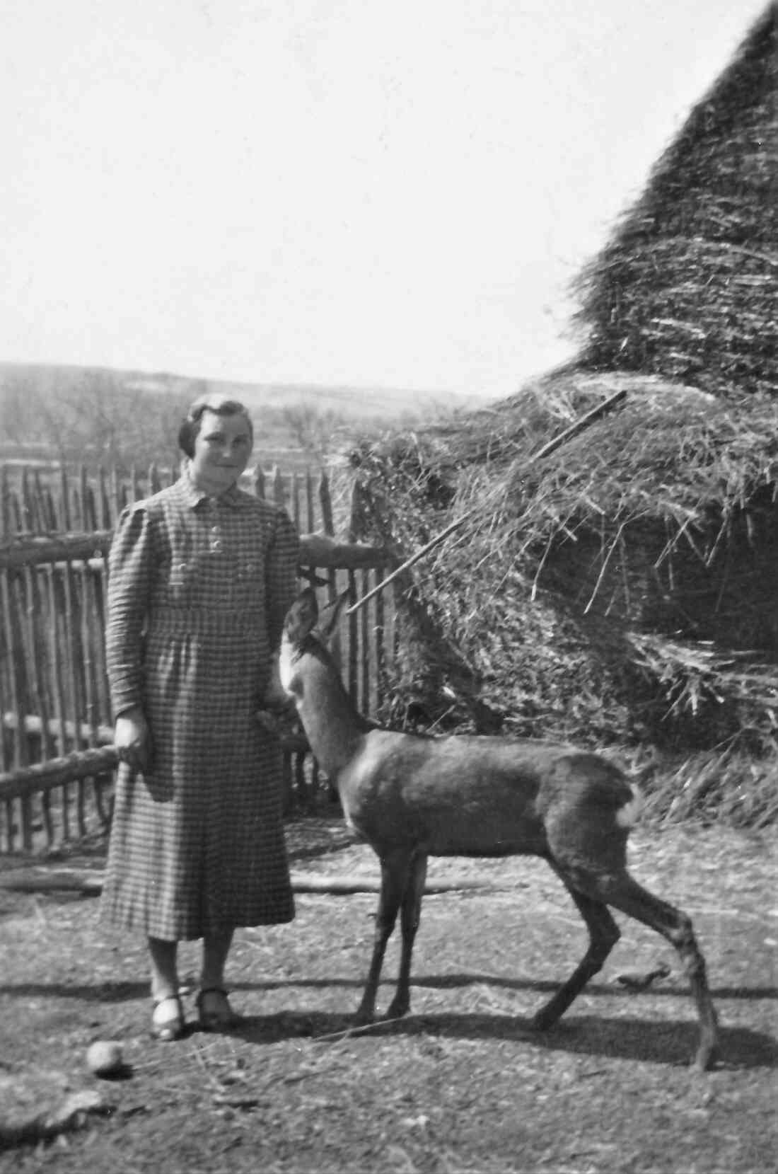 Maria Gaal (verh. Kelemen) mit zugelaufenem Reh