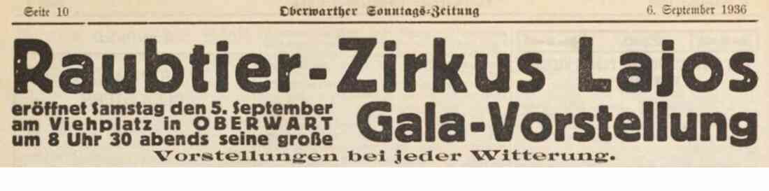 Inserat in der Oberwarther Sonntagszeitung: Raubtier-Zirkus Lajos - Galavorstellung