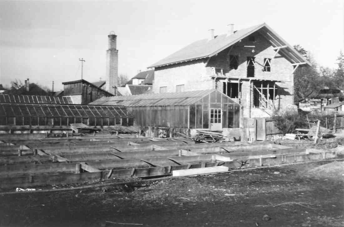 Gärtnerei Hanusch-Graf (Steinamangerstraße 36b): Neubau des Wohn- und Geschäftshauses