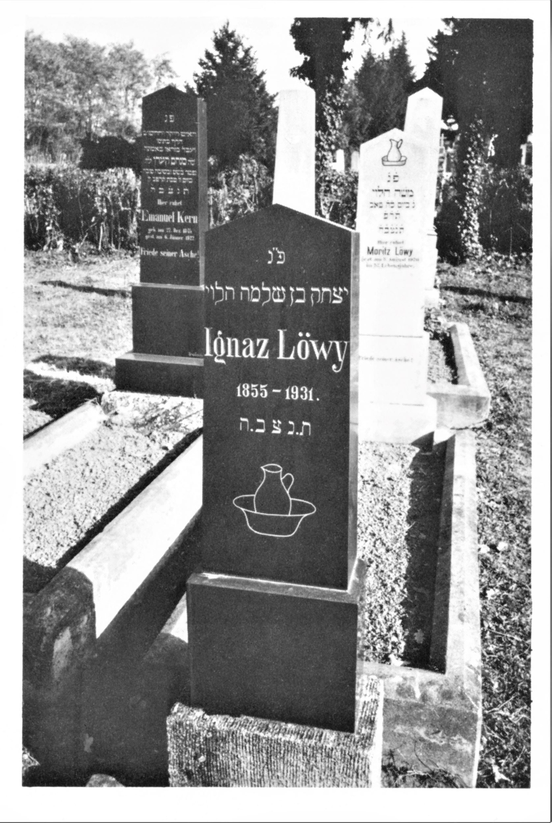 Grab von Ignaz Löwy (Schlaining, *1855/+1931) am Jüdischen Friedhof