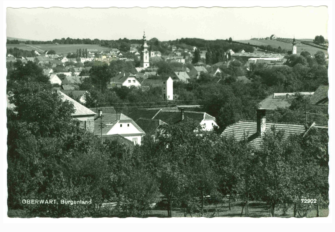 Blick vom nordwestlichen Vörösdomb gegen die Stadtmitte