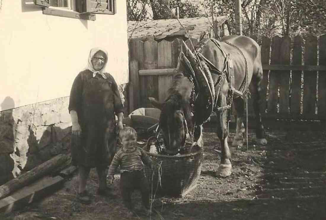 Pongracz Juliane, Zambo Ernst und das Pferd Fritz (Graf-Erdödy-Straße 33, vormals Oberwart 451)