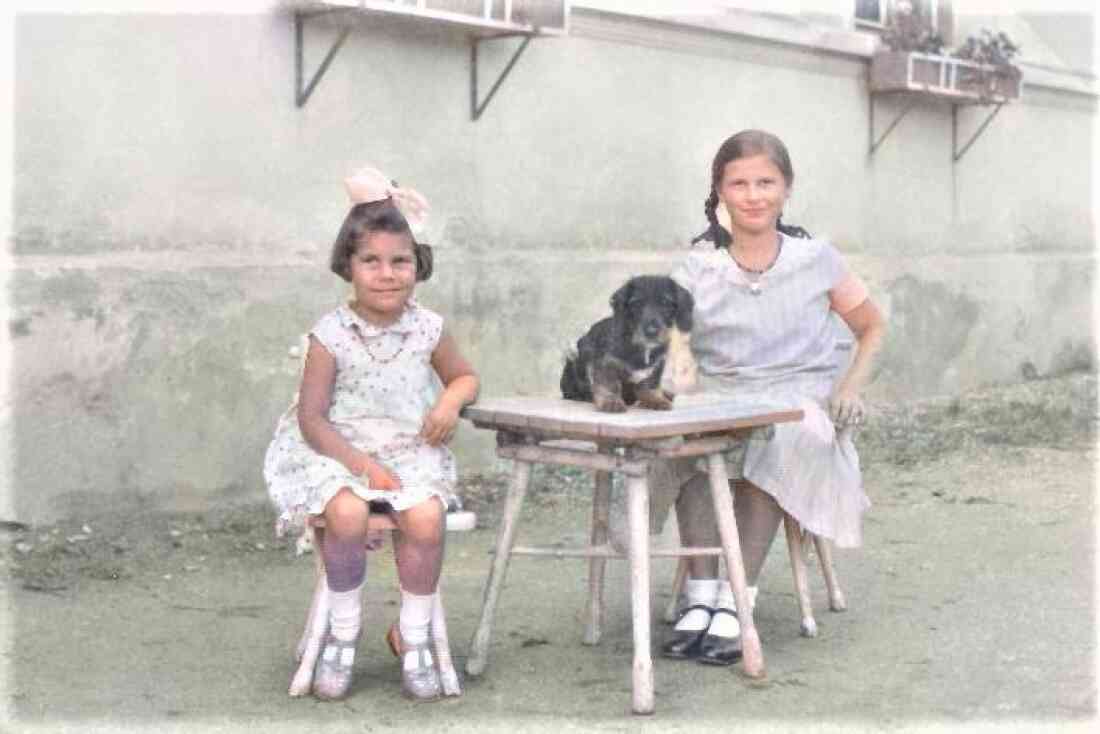 Maria Resch (verh. Dkfm. Reichel , *09.06.1927/+15.11.1982) mit Hund Bugsi und einer Freundin im Hof des des Straßenbauamt - Ambrosigasse 15