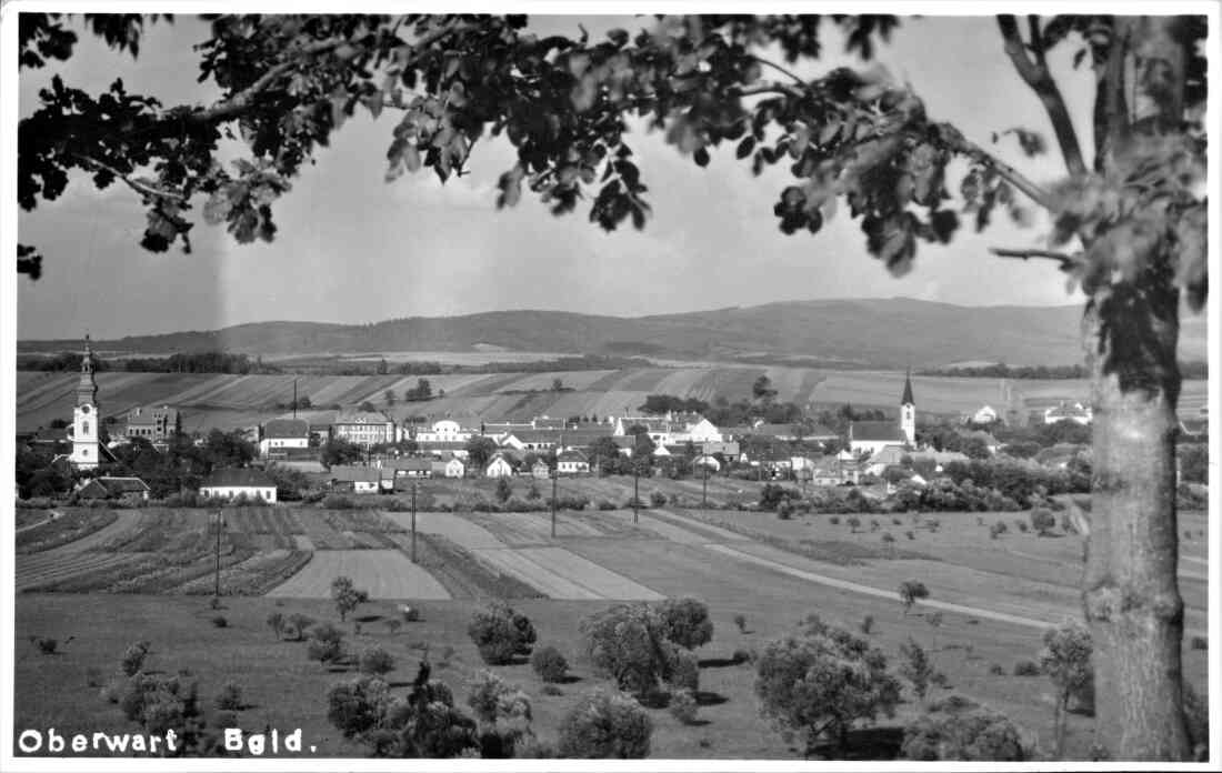 Ansichtskarte: Blick auf Teile des Obertrums und die Wienerstraße