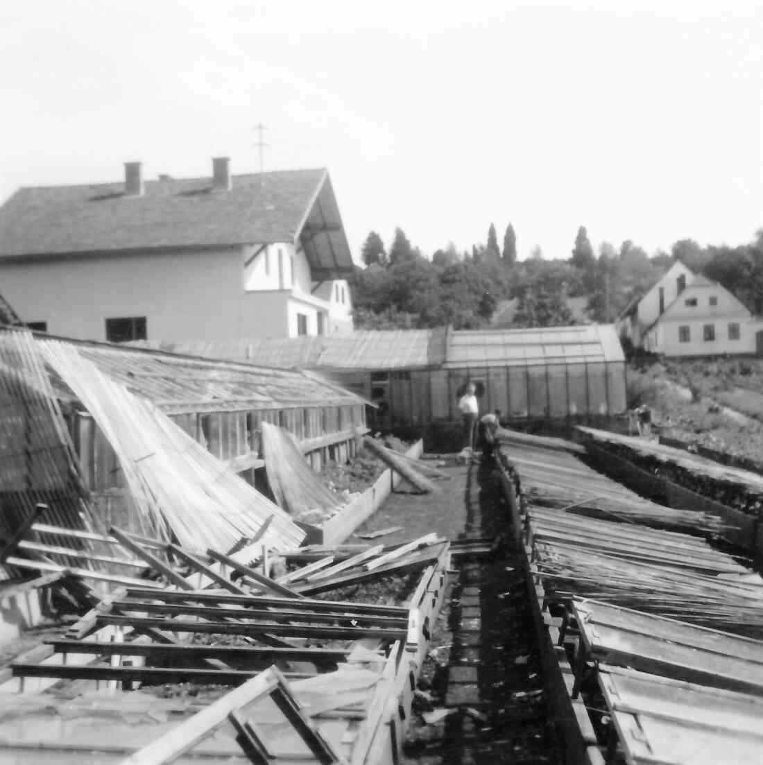 Gärtnerei Hanusch-Graf (Steinamangerstraße 36b): Eine Windhose verursacht starke Schäden