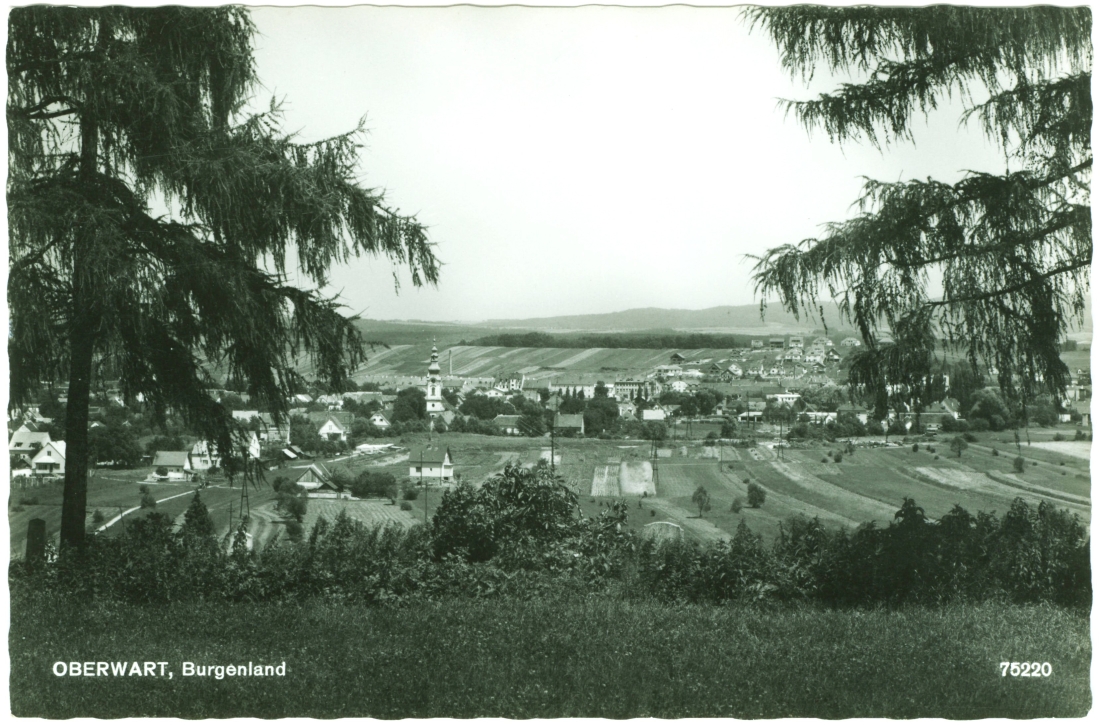 Ansichtskarte: Oberwart, Burgenland - Blick vom ref. Friedhof auf die Stadtmitte und den damals nur spärlich bebauten "Schuldenberg"