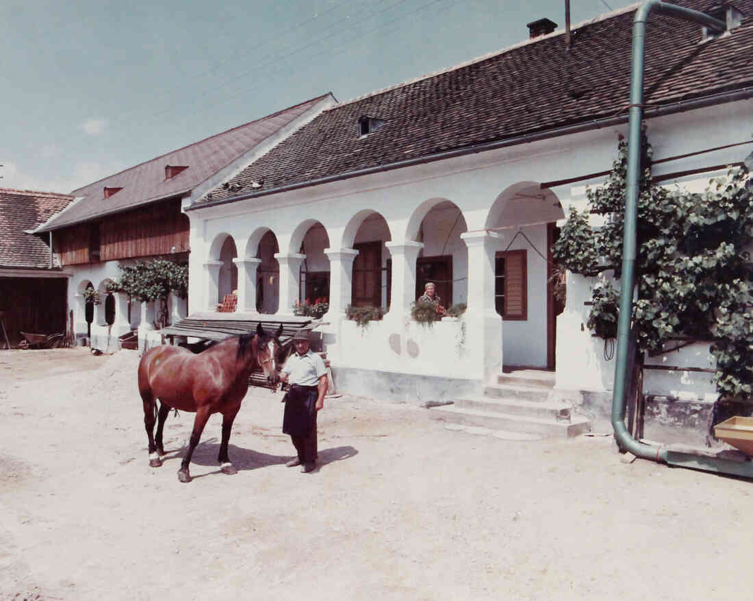 Ausgezeichnetes Arkadenhaus: Alexander Baliko (Johann Straußgasse 46)