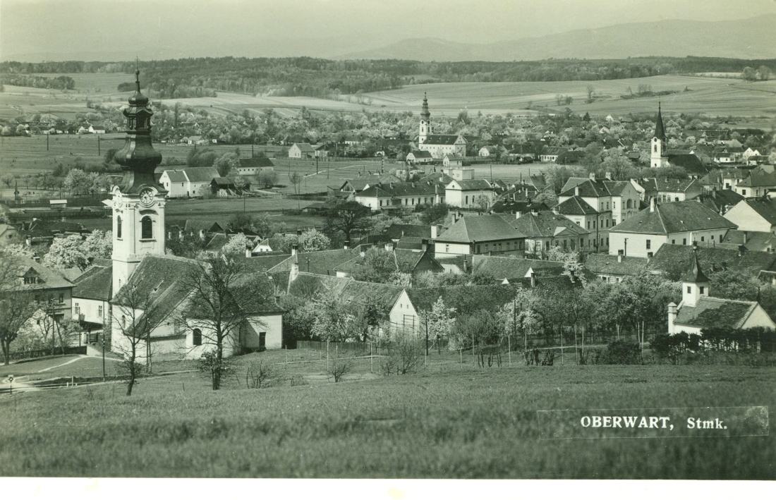 Ansichtskarte: Oberwart - Stmk. / Blick auf die drei Kirchen und die Synagoge