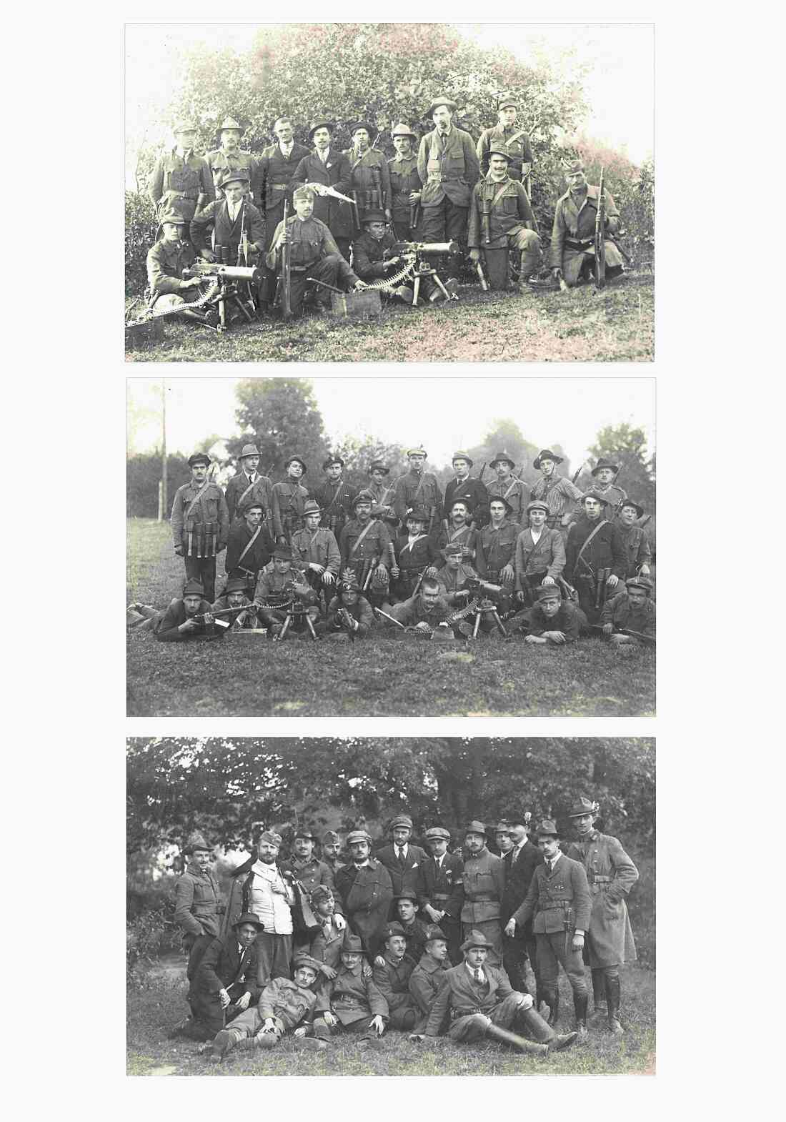 "Freischärlerstaat" Leithabanat (Lajtabánság ung. oder Leitha-Banschaft): Gruppen von Freischärler