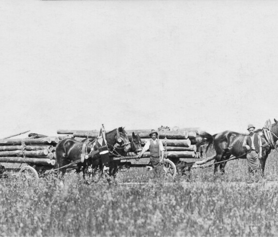 Holzkfuhrwerke des Sägewerks Dampf (später Schmaldienst)