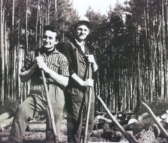 St. Martin: Alexander Miertl und Fritz Guger bei der Waldarbeit