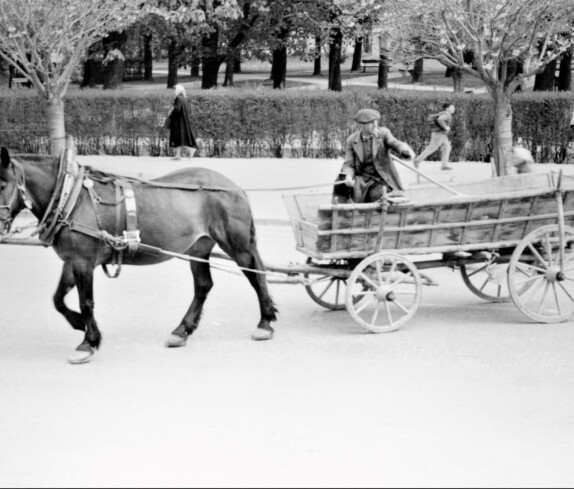 Herr Julius Szalay (*1910/+1985) mit einem der letzten Pferdefuhrwerke in Oberwart (im Hintergrund der Stadtpark) - Lannergasse 15