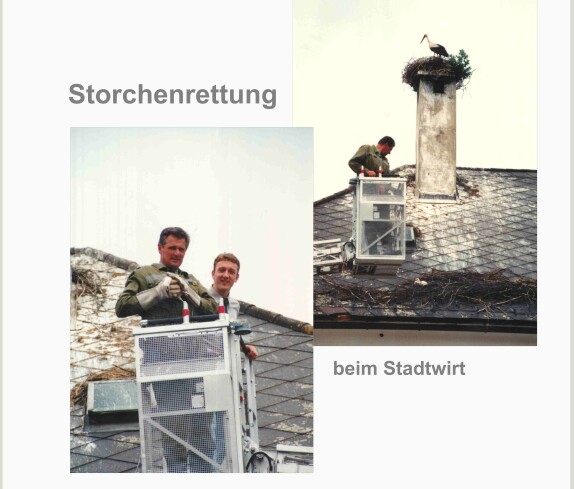 Feuerwehr: Storchenrettung beim Stadtwirt - Steinamangererstraße 6 (Szabo/Wukits)