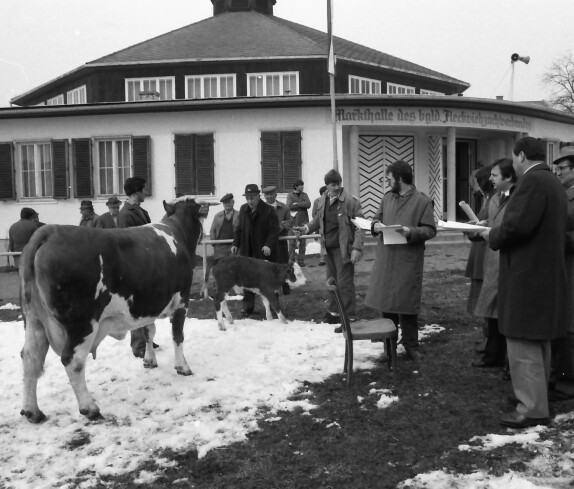 Bgld. Fleckviehzuchtverband im Bereich der Rotunde (Hauptplatz 8f)