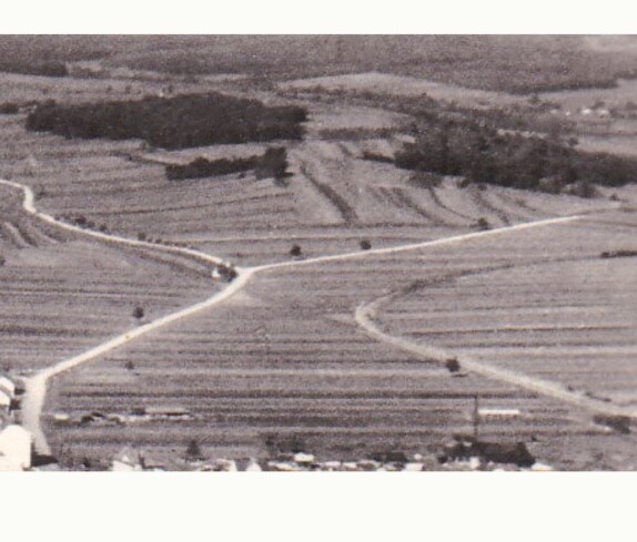 Verlauf der heutigen Wienerstraße mit den Abzweigungen nach Riedlingsdorf und Unterschützen im Bereich der Ried "Warthenau" (auch Wartenau)