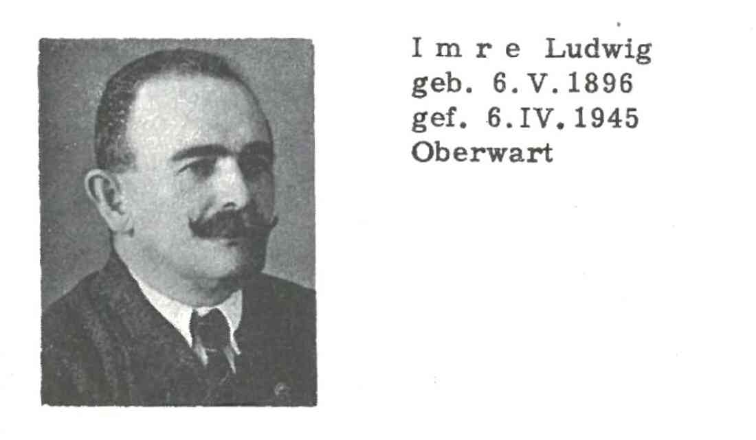 "Lajos" Ludwig Imre (Schneidermeister, *1896/+1945; OW 409 / Dornburggasse 6 ) - tötlich verwundet durch einen Granatsplitter