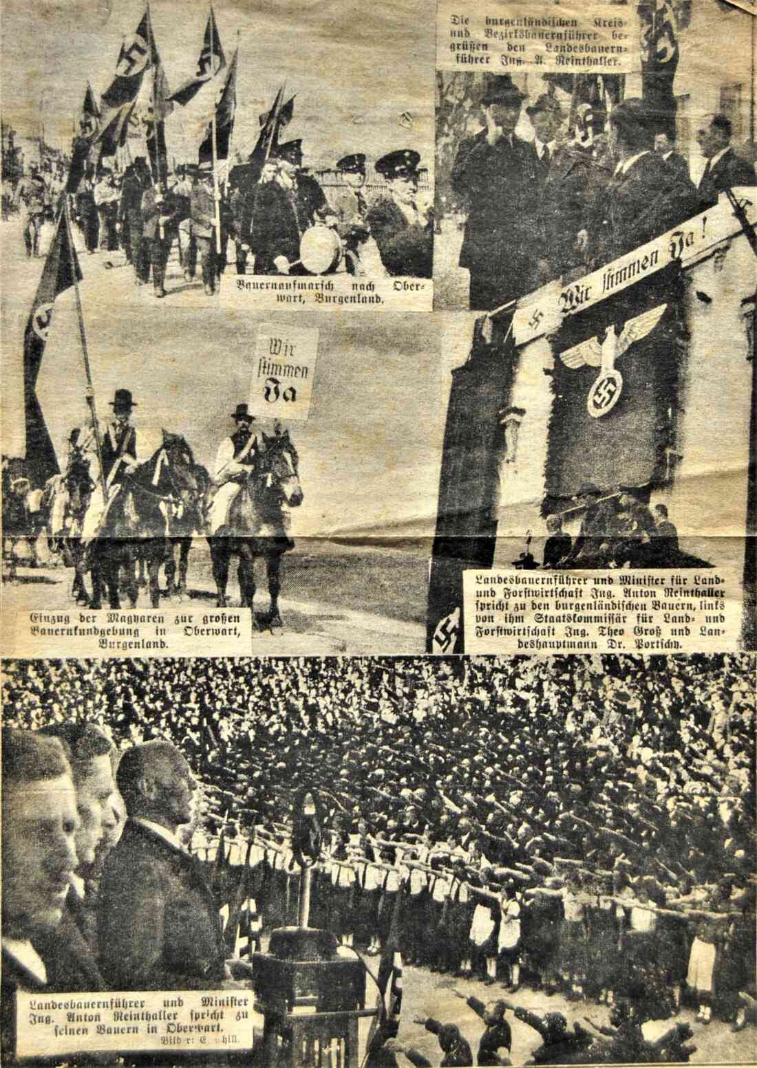 NAZIS: Nationalsozialistische Bauernkundgebung am 3. März 1938