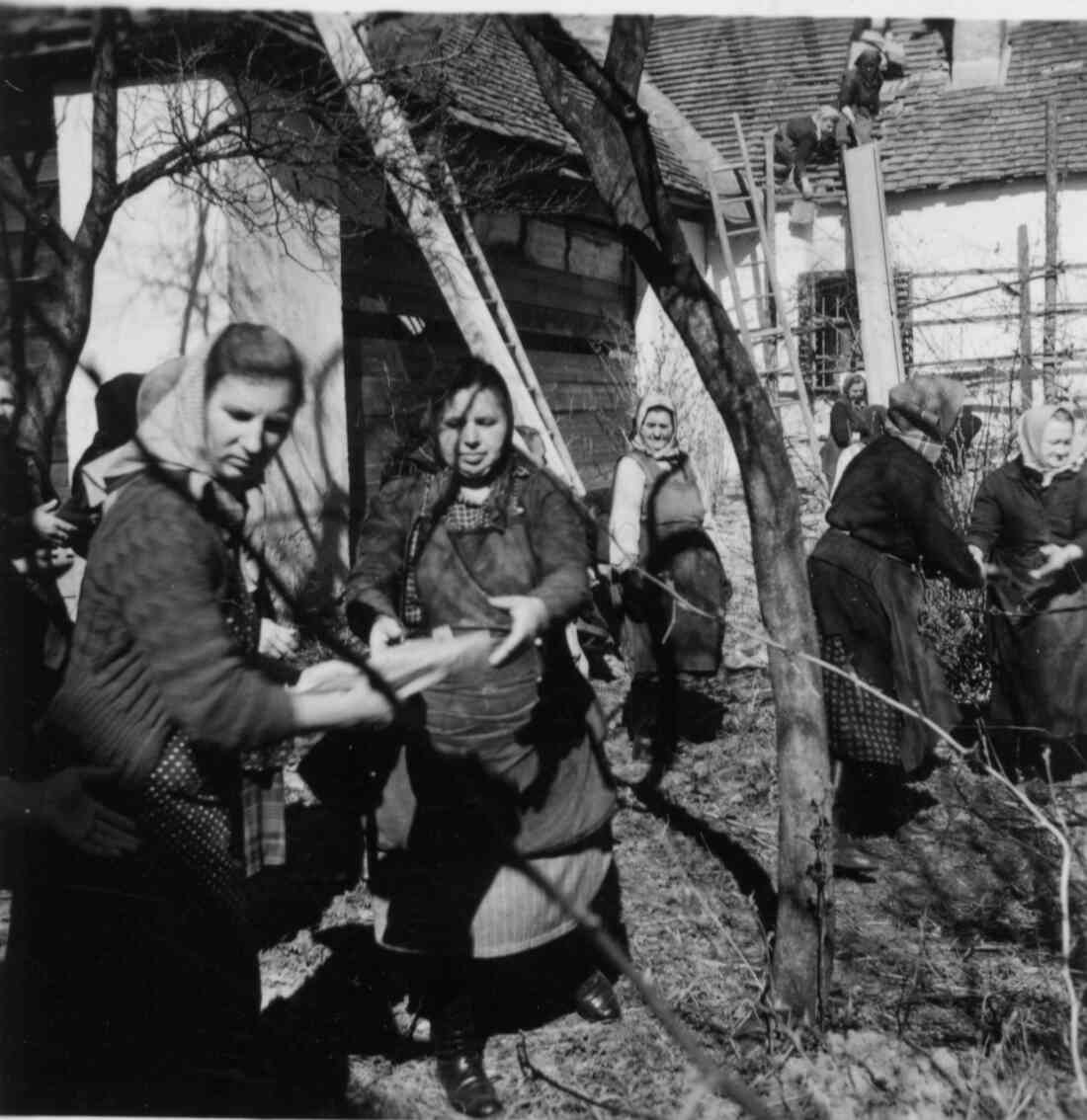 Abriss und dann Bau des reformierten Gemeindesaals (Graf Erdödystraße 20a): die Frauen der Gemeinde im Einsatz