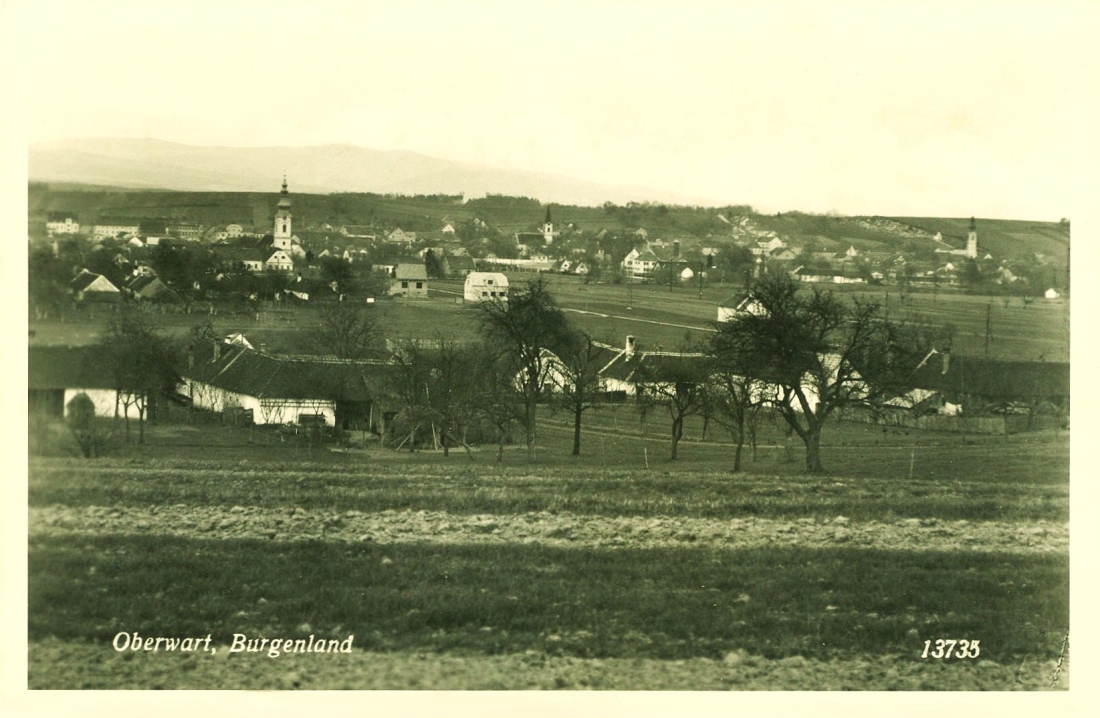 Ansichtskarte: Oberwart, Burgenland - Blick vom Vörösdomb in Richtung Stadtmitte mit den drei Kirchen
