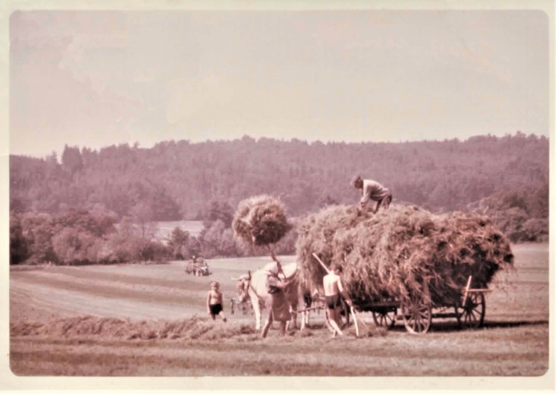 St. Martin: Heuernte (Marth/Halper)