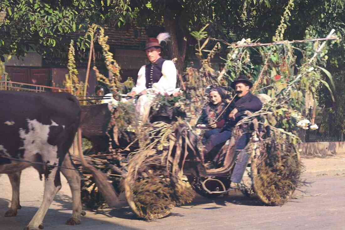 Erntedankfest: "Hosszi Miska"-  Michael Böcskör (Wiesengasse 52) mit seiner Kutsche