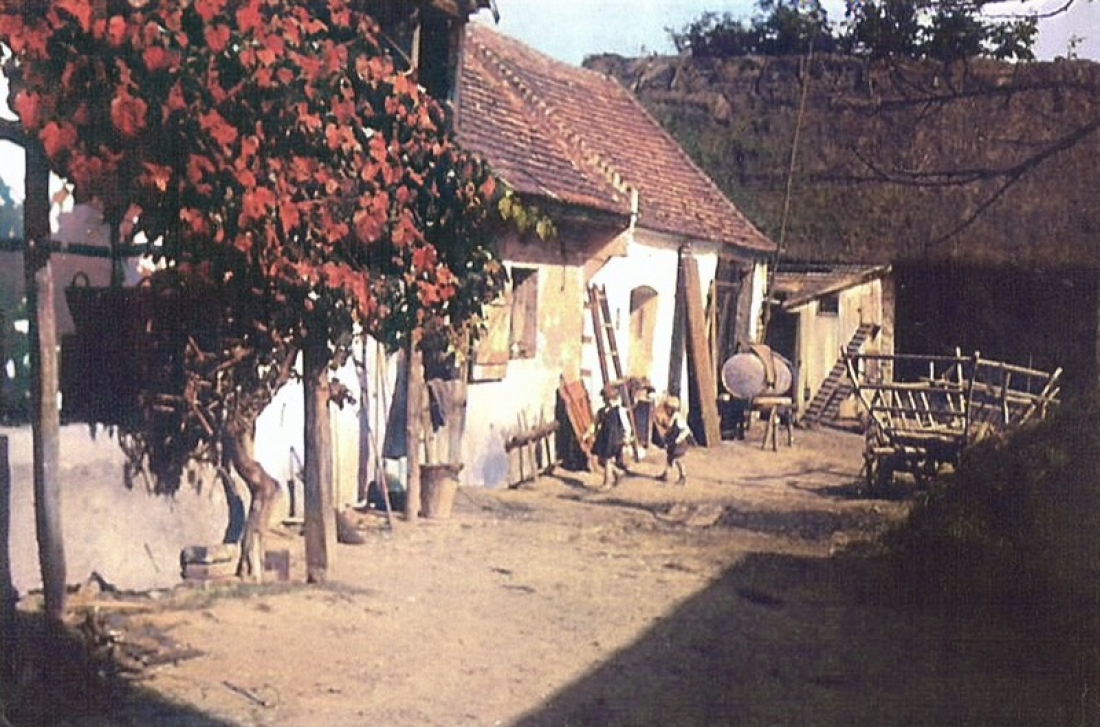 Hof des Bauernhauses Julius Halper (St. Martin Nr. 39, heutige Anschrift: Oberwarter Straße 41)