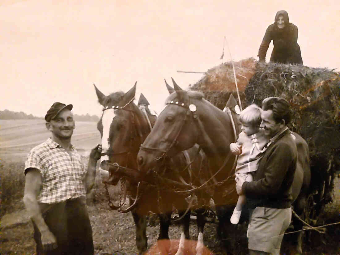 Beim Heu einholen: Michael Ruzsa (*1918 / +1996 - Landwirt ) - Schlainingerstraße 6 und Hr. Gareis