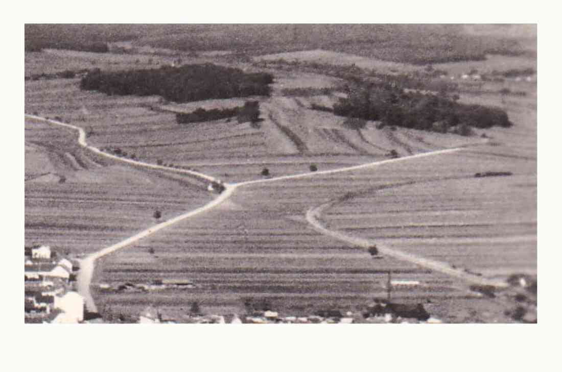 Verlauf der heutigen Wienerstraße mit den Abzweigungen nach Riedlingsdorf und Unterschützen im Bereich der Ried "Warthenau"
