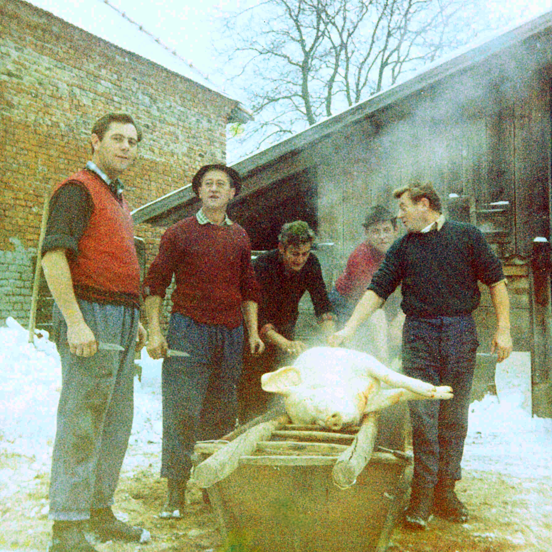 Sauabstechen im Hause Fülöp (Wiesengasse 50) - Holler/Pal