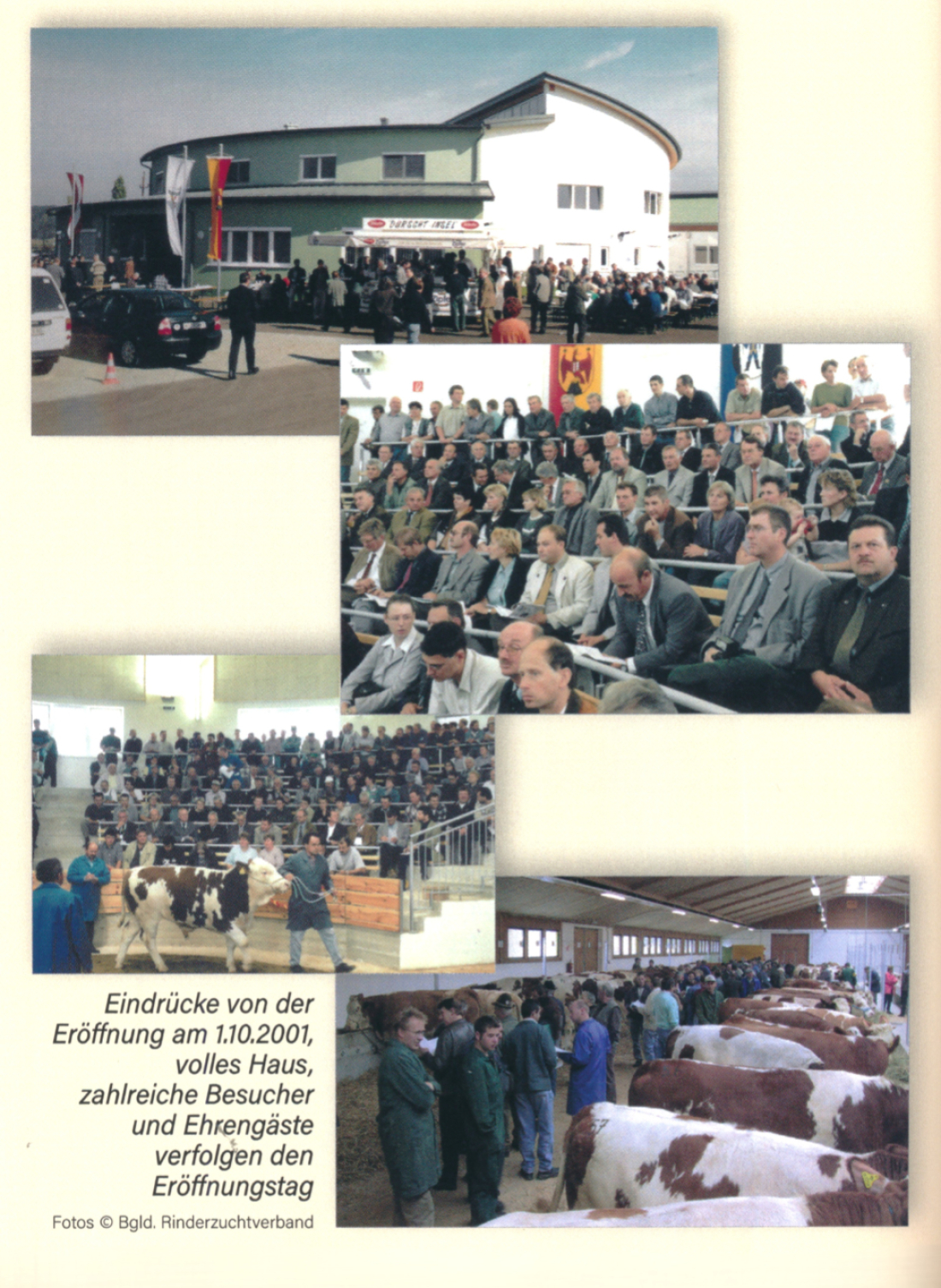 Die neue Versteigerungsanlage (Rinderkompetenzzentrum) des Rinderzuchtverbands / Fleckviehzuchtverbands: Eröffnung am 1.Oktober 2001 - (Industriestraße 10)