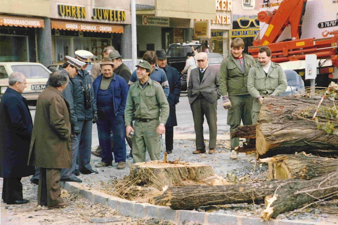Die Stadtfeuerwehr beim Baumschnitt im Bereich der Ampel/Hochhaus - Miertl/Szabo/Adorjan/Imre/Seper/Granich/Fassl/Höfer