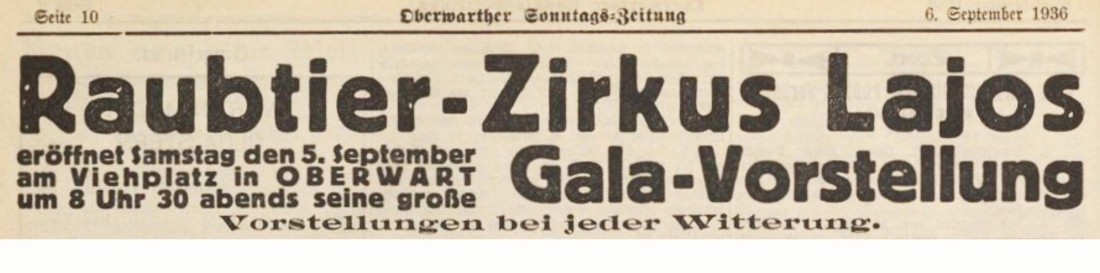Inserat in der Oberwarther Sonntags = Zeitung: Raubtier-Zirkus Lajos - Galavorstellung