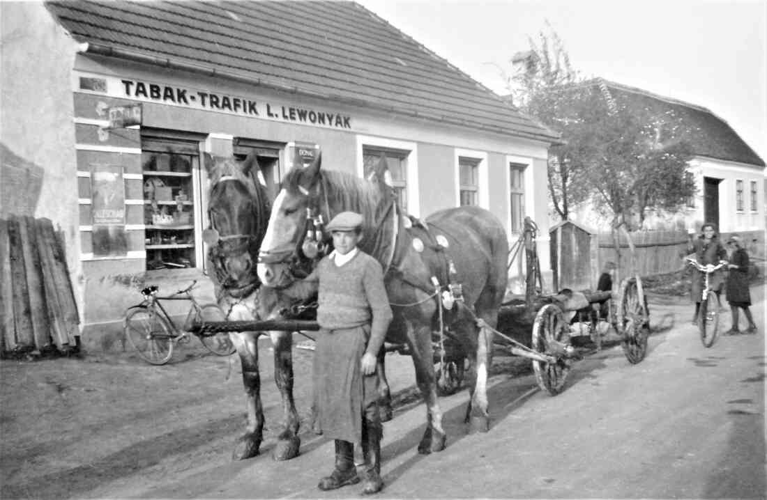Josef Pimperl (*1913 / +1991) mit seinem Pferdegespann vor der Trafik Lewonyak/Levonyak (Steinamangererstraße 79)