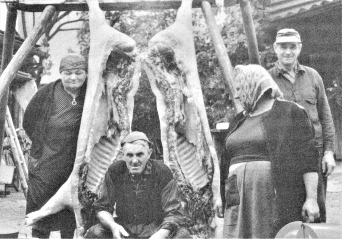 Sauabstechen wahrscheinlich im Haus Imre (Mondgasse 5)