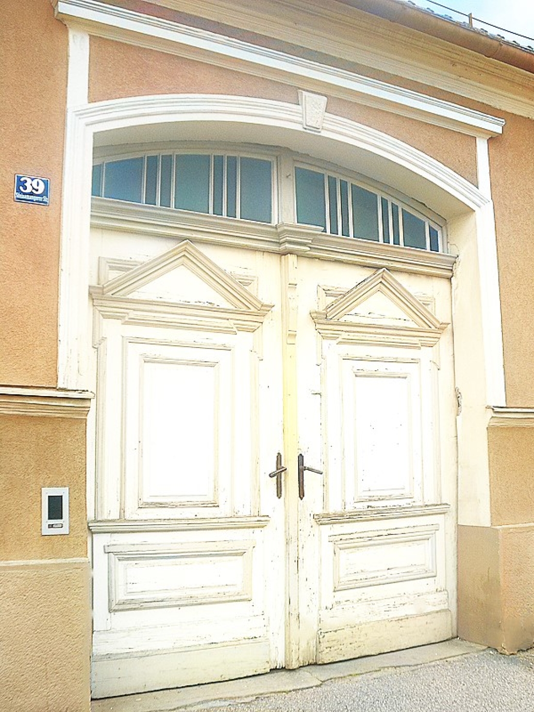 Detail - besondere Haustore: OW 102 / Steinamangererstraße 39 (Michael Schuch vorm. Hanusch)