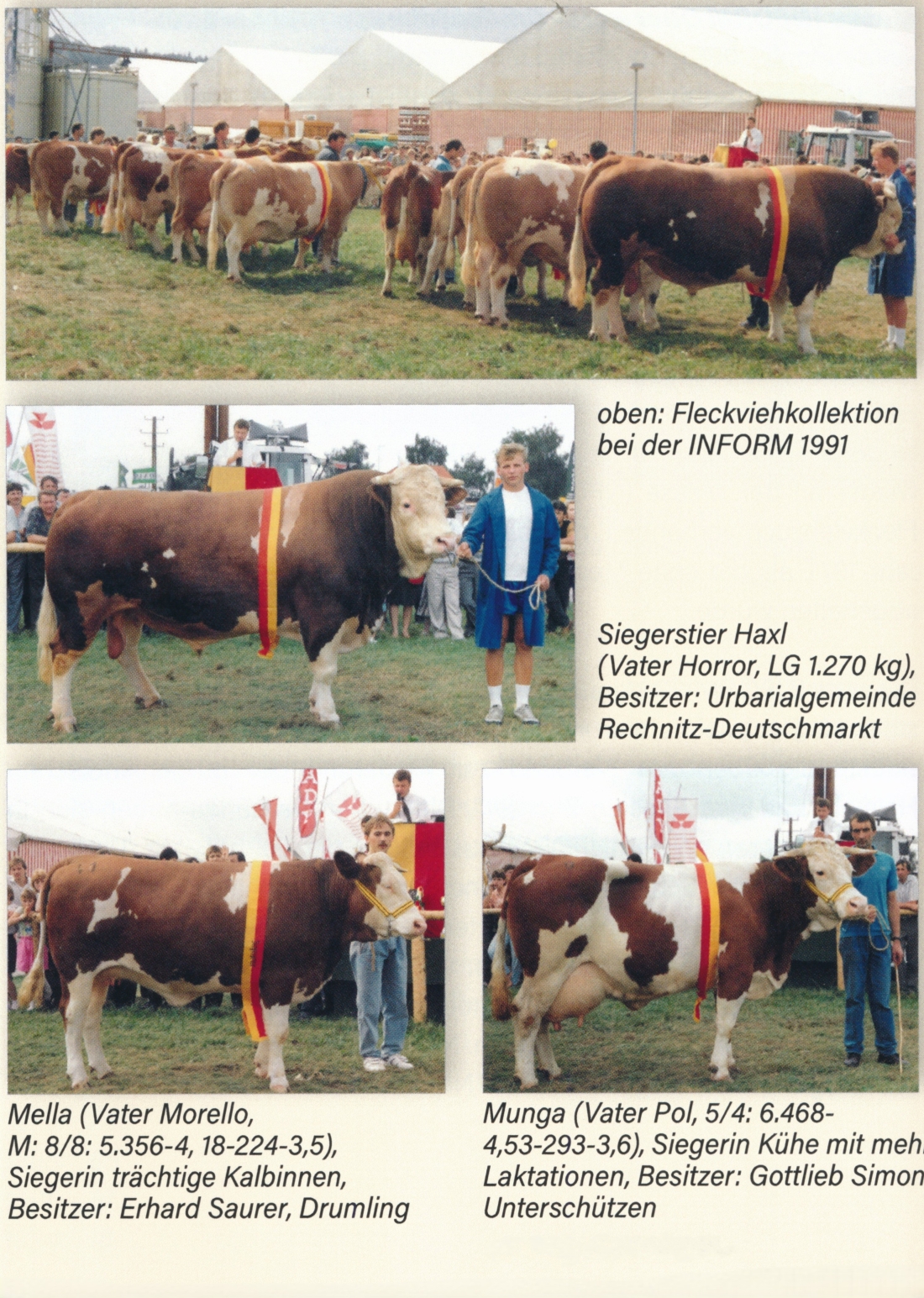 INFORM: Rinderschauen des BRV 1991 bis 2001 - Vorstellung von ausgewählten Siegertieren 1991