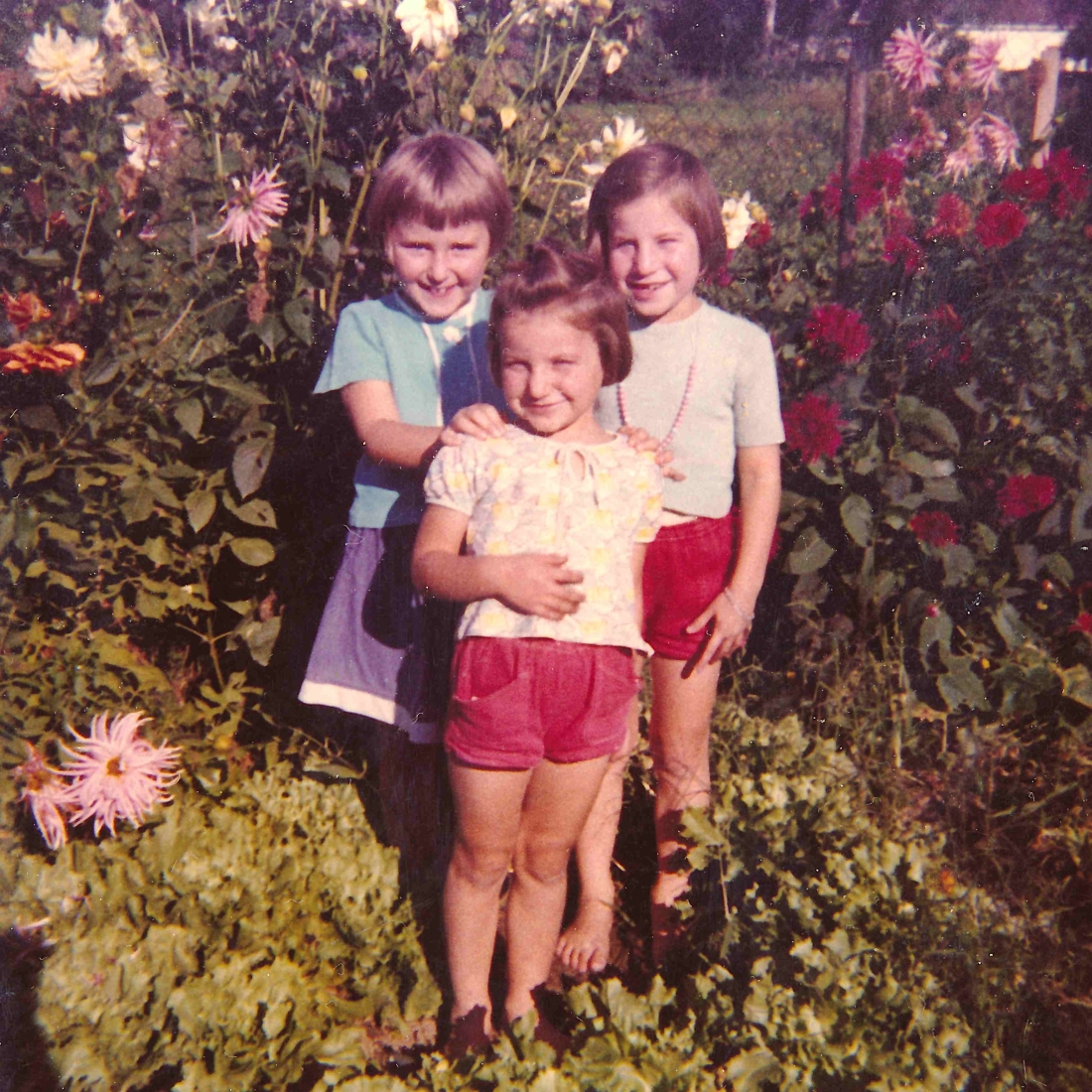 Drei Freundinnen - Muth/Imre