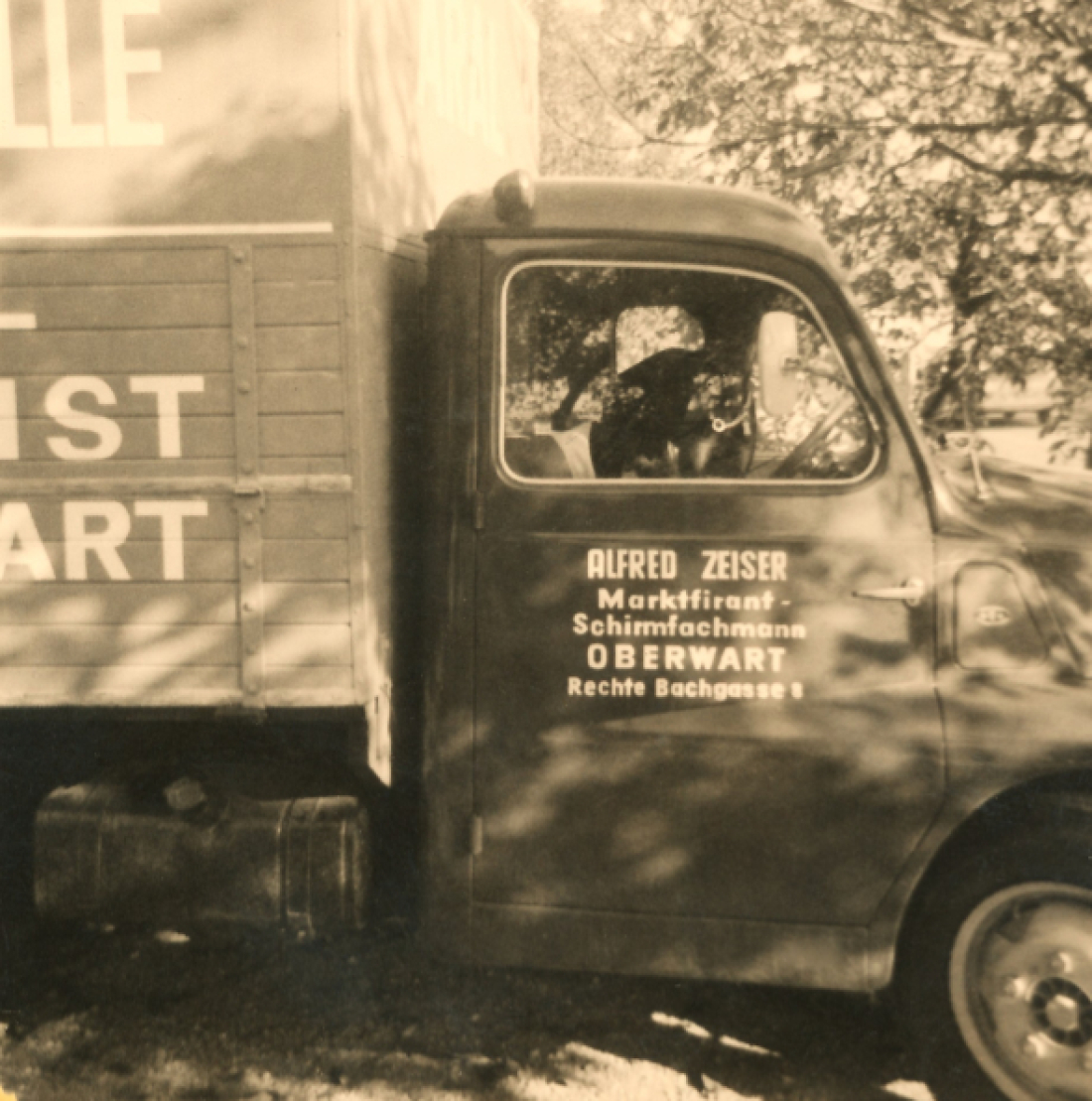 Marktwagen von Alfred Zeisser - Marktfirant [Marktfierant] und Schirmemacher (Rechte Bachgasse 8)