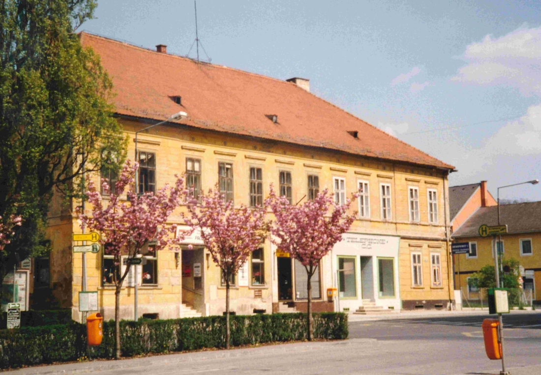 "Japanische Kirschbäume" vor dem "Paganyhaus" - Hauptplatz 11