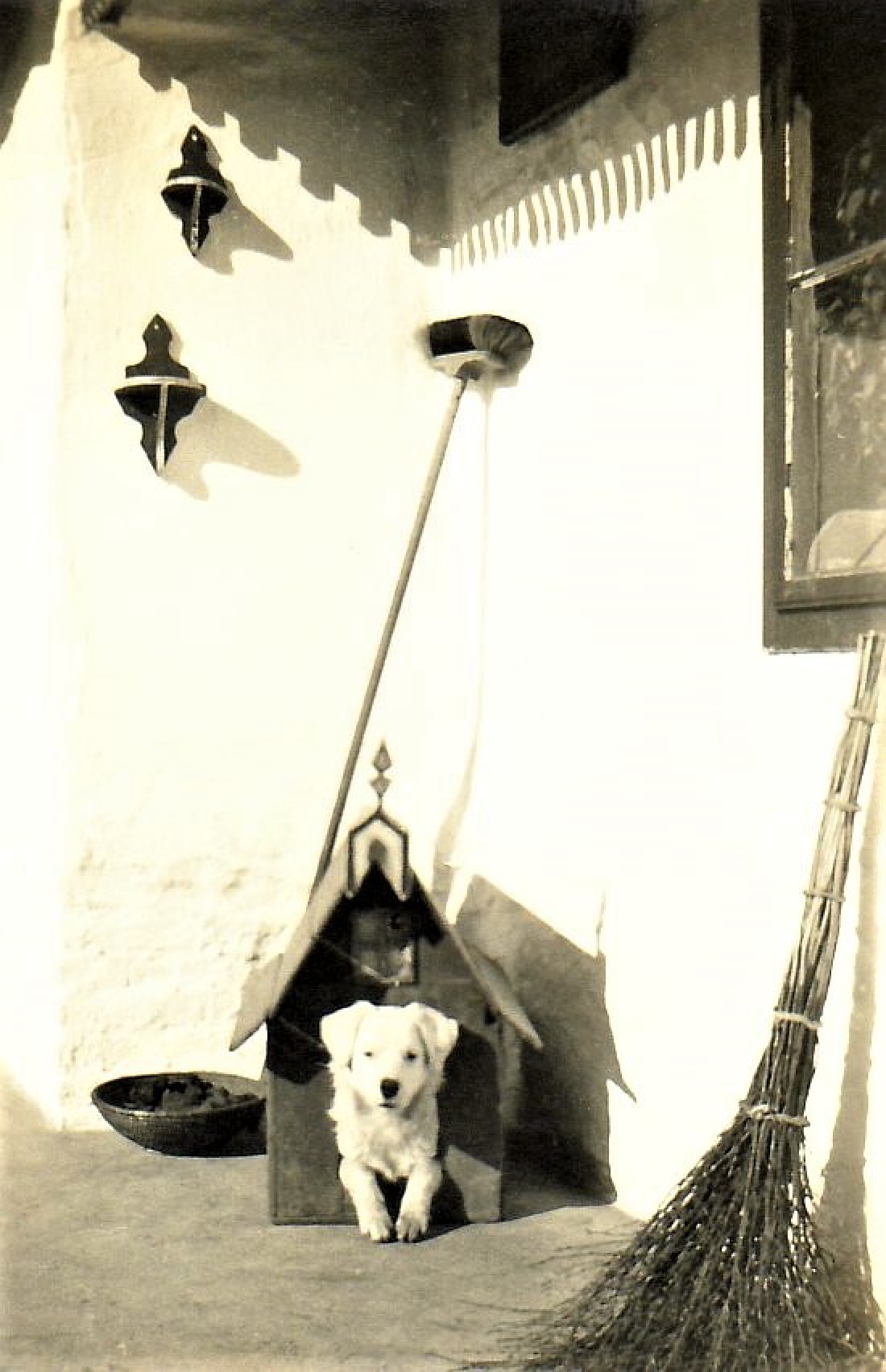 Haus- und Hofhund Buffi bei Fam. Kiss (Lindengasse 5)