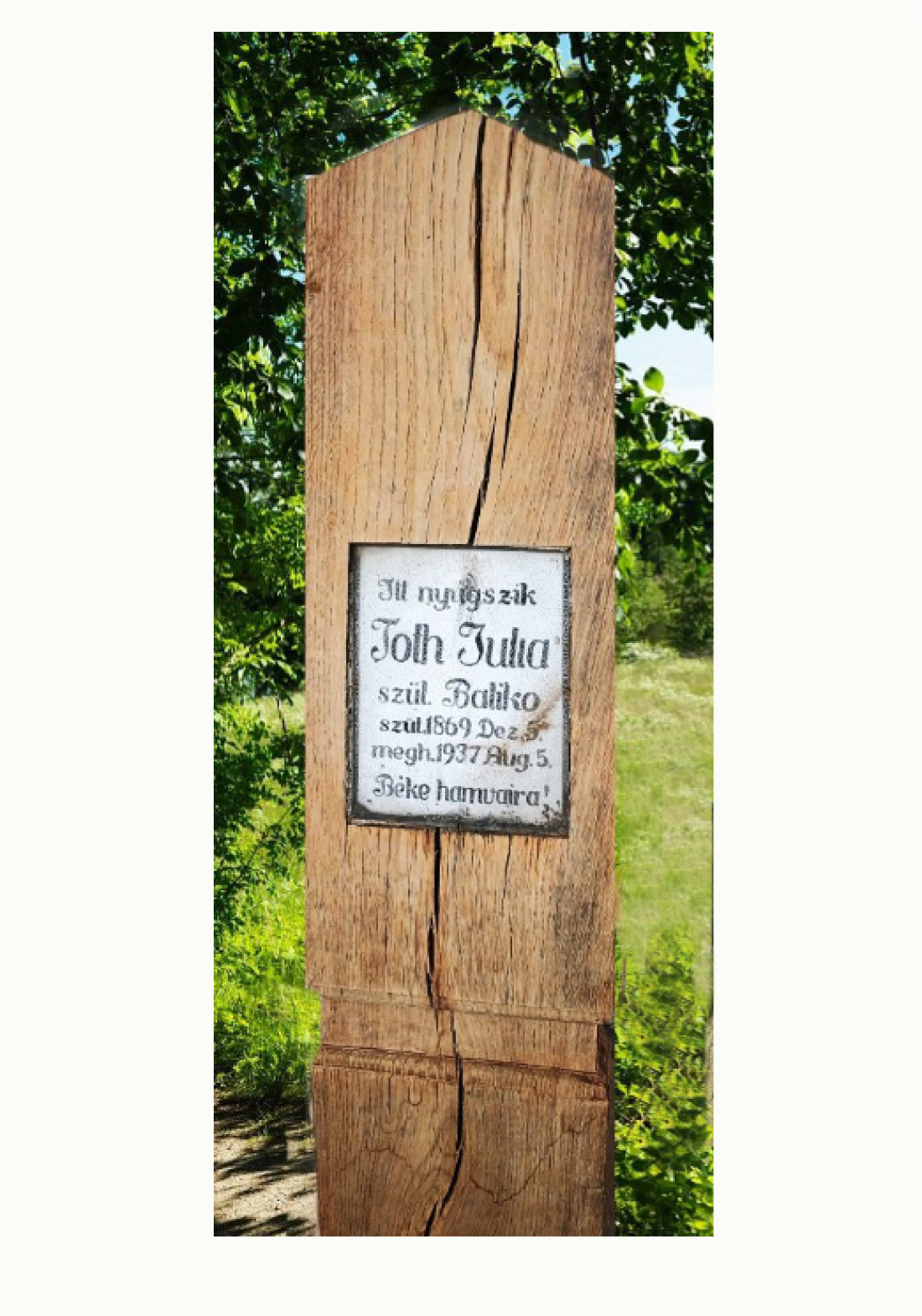 Reformierter Friedhof: Grabholz am Grab der Julia Toth (geb. Baliko, *1869/+1937)