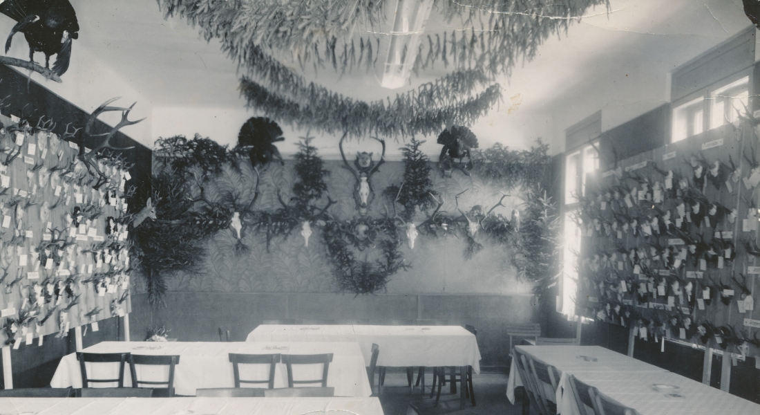 Bezirksjägertag der Ortsgruppe Oberwart am 17. Juli 1957 im Gasthof Seper - Trophäenschau