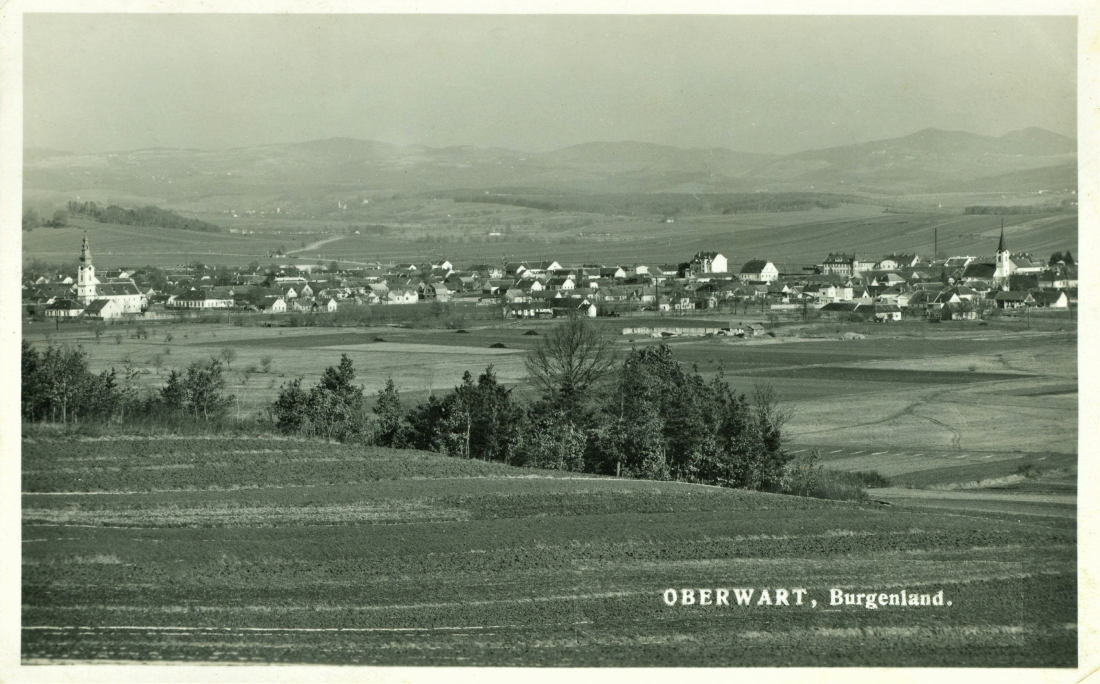 Ansichtskarte: Blick über die nordwestlichen Teile der Stadt gegen Norden