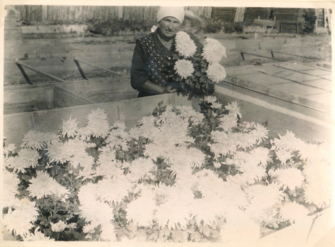 Maria Hanusch (geb. Heid, *1897/+1971) in der Familiengärtnerei