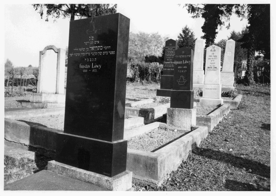 Jüdischer Friedhof: Gräber von Gustav Löwy, Ignaz Löwy und Moritz Löwy