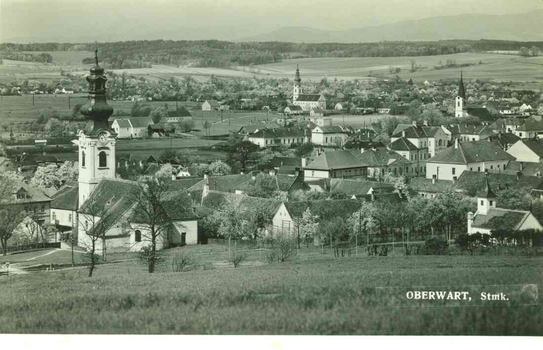 Ansichtskarte: Oberwart - Stmk. / Blick auf die drei Kirchen und die Synagoge