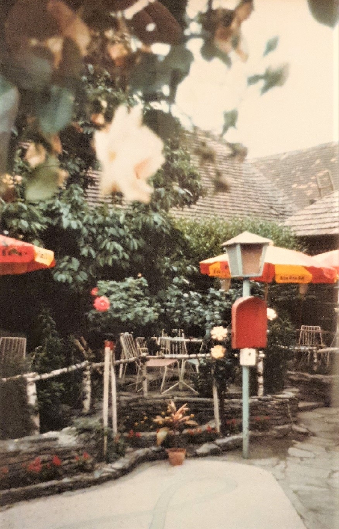 Blick in ins Eisgartl der Konditorei Eugen Strauss (auch Strauhs und Strauß) Steinamangererstraße 14